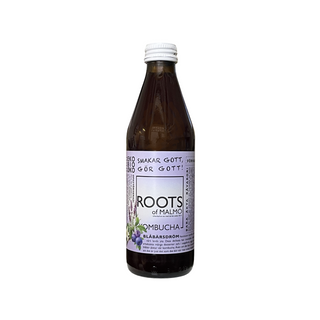 Kombucha Blåbärsdröm, 330 ml Eko