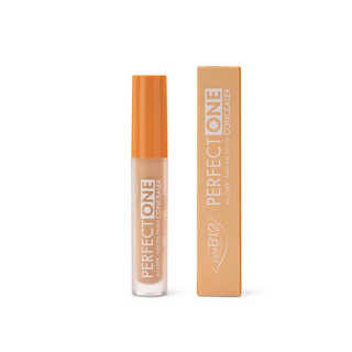 Concealer PERFECT ONE 01, 4,8 g