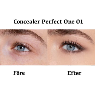Concealer PERFECT ONE 01, 4,8 g