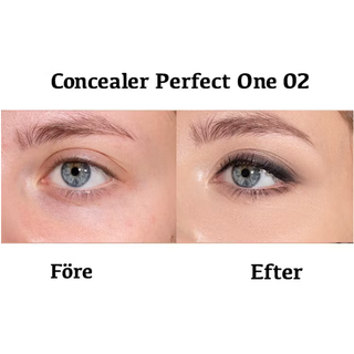 Concealer PERFECT ONE 02, 4,8 g