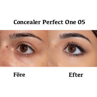 Concealer PERFECT ONE 05, 4,8 g