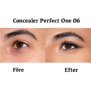 Concealer PERFECT ONE 06, 4,8 g