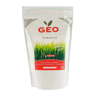 Groddfrön Vetegräs, 600 g Eko