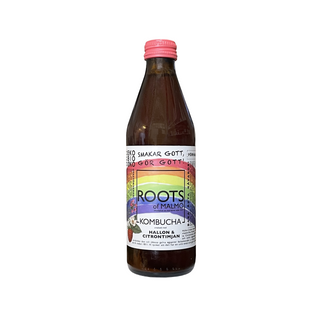 Kombucha Hallon & Citrontimjan, 330 ml Eko