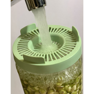JAR.AX Groddlock för Mungbönor, 1 st
