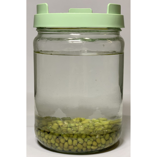 JAR.AX Groddlock för Mungbönor, 1 st