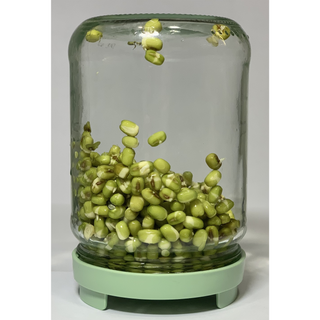 JAR.AX Groddlock för Mungbönor, 1 st