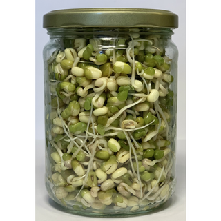 JAR.AX Groddlock för Mungbönor, 1 st