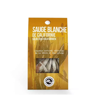 Sauge de Californie, 2 st