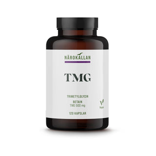 TMG, 120 kap