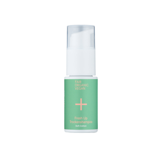 Fresh Up Dry Shampoo, 20 g