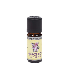 Eucalyptus globulus, 10 ml Eko