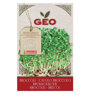 Groddfrö Broccoli, 13 g Eko