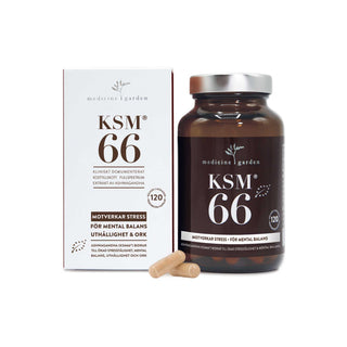 KSM 66, 120 kap Eko