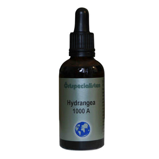 Hydrangea, 50 ml