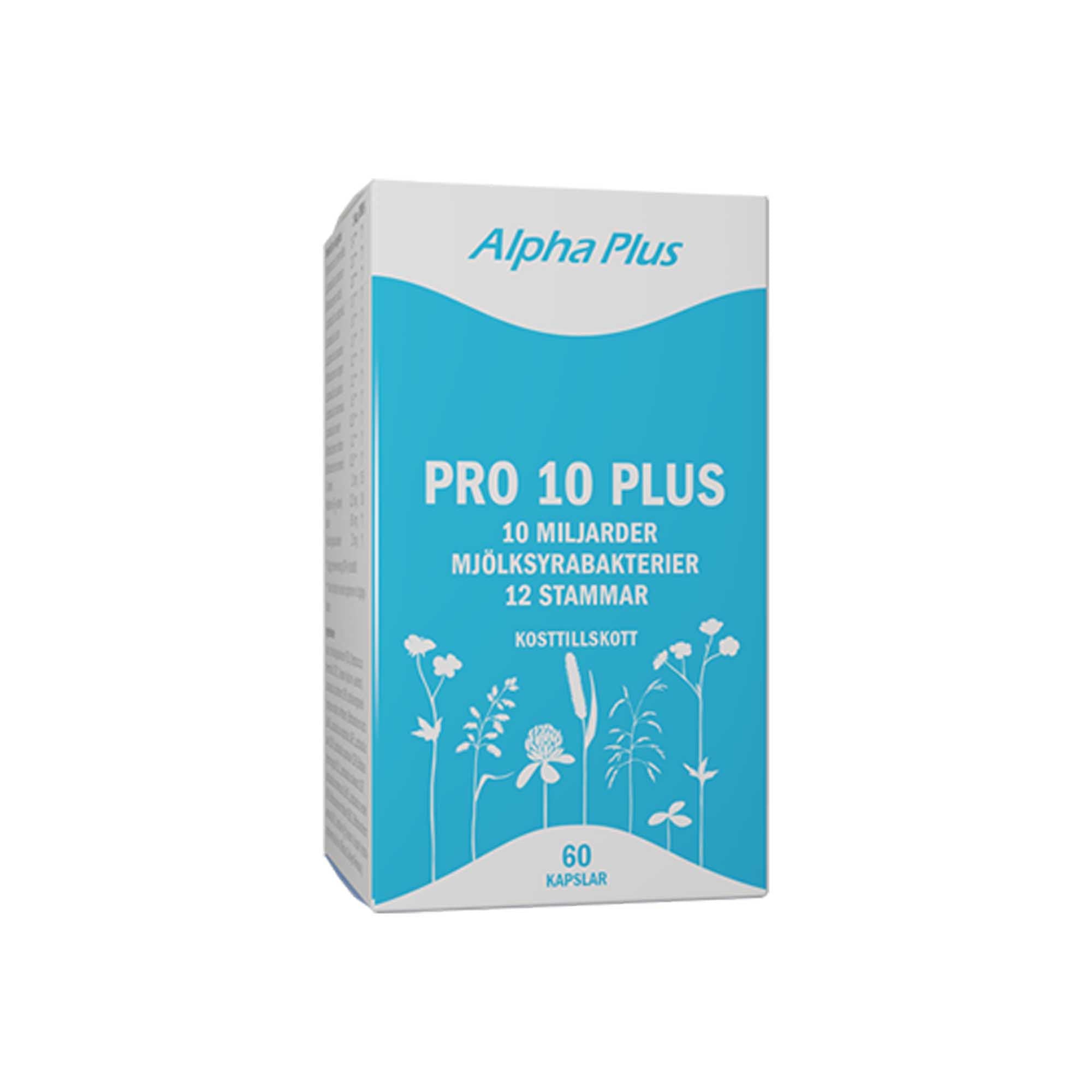 Pro 10 Plus, 60 kap – Gryningen